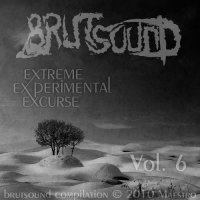 VA - Brutsound Compilation Volume 6 - Extreme Experimental Excurse (2010)