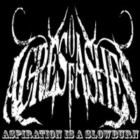 Acres Of Ashes - Aspiration Is A Slowburn (2011)