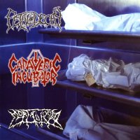 Cadaveric Incubator / Fetal Decay / Mortalized - Cadaveric Incubator / Fetal Decay / Mortalized (Split) (2005)