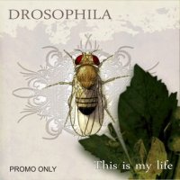 Drosophila - Promo (2010)