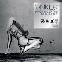 Unkle - Where Did The Night Fall (2010)