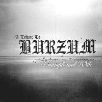 VA - Triumph Und Wille 29A [Tribute To Burzum] (2006)