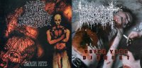 Torture Incident & Brutal Insanity - Voice Your Disgust & Smash Hits (Split) (2002)