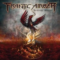 Frantic Amber - Burning Insight (2015)