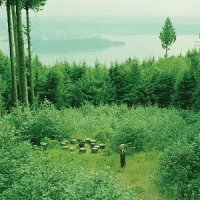 Then Thickens - Death Cap at Anglezarke (2014)