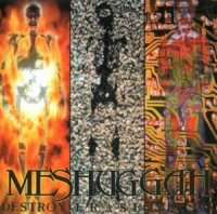 Meshuggah - Destroy Erase Improve & Selfcaged (Reloaded 2008) (1995)