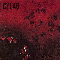 Cylab - Disseminate (2007)