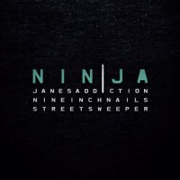 Nine Inch Nails - Ninja (2009)