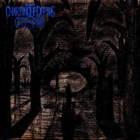 Charting The Depths Of Despair - Demo 2016 (2016)