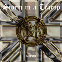 Storm In A Teacup - MMXVI (2016)