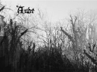 Aube - Brume Amniotique (2014)