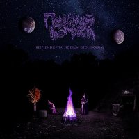 Поцелуй Бомжа - Resplendentia Siderum Stolidorum (2016)