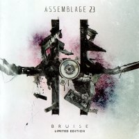 Assemblage 23 - Bruise [Limited Edition] (2012)