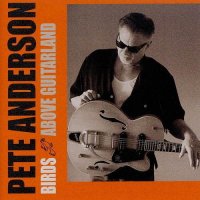 Pete Anderson - Birds Above Guitarland (2013)