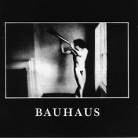 Bauhaus - In The Flat Field (1980)