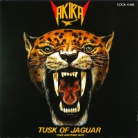 Akira Takasaki - Tusk Of Jaguar (Reissue 1993) (1982)