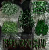 VA - Terron Grind Squad - 5-Way Split (2010)