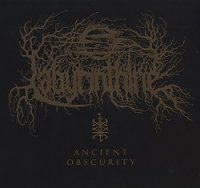 Labyrinthine - Ancient Obscurity (2014)