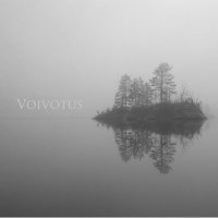 Voivotus - 7 (2013)