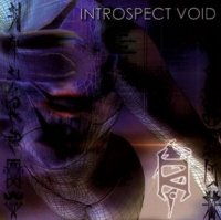 Introspect Void - Reality Is Defective (2007)