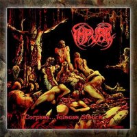 Impure - Corpses...Intense Stench (2005)