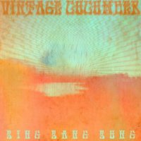 Vintage Cucumber - Sing Sang Sung (2015)