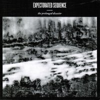 Expectorated Sequence - The Prolonged Disaster (2011)