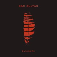 Dan Sultan - Blackbird (2014)