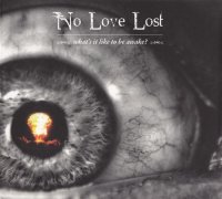 No Love Lost - What\'s It Like To Be Awake (2011)