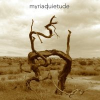 Myriad - Quietude (2013)