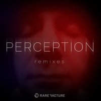 Rare Facture - Perception (Remixes) (2016)
