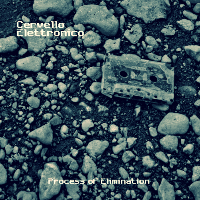 Cervello Elettronico - Process Of Elimination (2009)