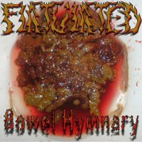 Flatulated - Bowel Hymnary (2016)