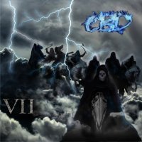 СВД - VII (2012)