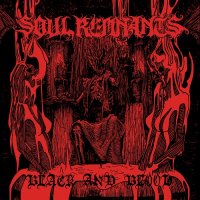 Soul Remnants - Black And Blood (2013)