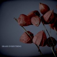 Jake Yencik - Erase Everything (2017)