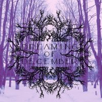 Dreaming Of December - Cold Breath Of Eternity (2016)