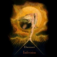 Disconnect - Indivision (2011)