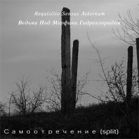 Requisitio Sensus Aeternum & Ведьма Под Морфина Гидрохлоридом - Самоотречение (Split) (2010)