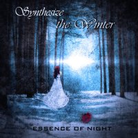 Essence Of Night - Synthesize The Winter (2010)