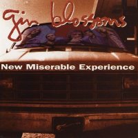 Gin Blossoms - New Miserable Experience (1992)