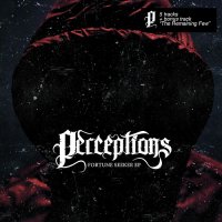 Perceptions - Fortune Seeker (2013)