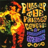 VA - Pull Up the Paisley Covers - A Psychedelic Omnibus (2002)