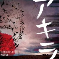 Somber Light - Akira (2011)