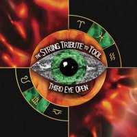 Tool - The Section - Third Eye Open The String Tribute To Tool (2001)