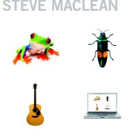 Steve MacLean - Frog Bug Guitar Computer (2008)