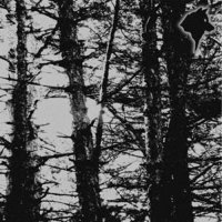Korium - Neviditeľný Trón Lesnej Temnoty (2013)