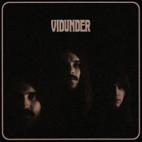 Vidunder - Vidunder (2013)