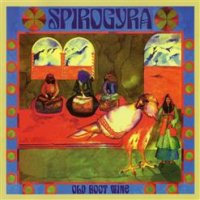 Spirogyra - Old Boot Wine (Esoteric Remaster 2015) (1972)