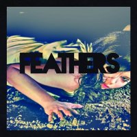 Feathers - If All Now Here (2013)